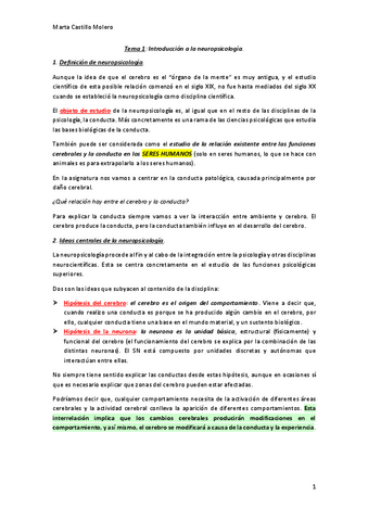 Tema-1-Neuropsicologia.pdf