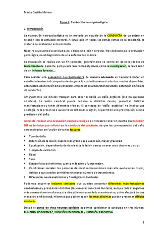 Tema-3-Neuropsicologia.pdf