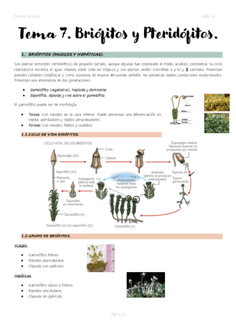 Tema-7.-Briofitos-y-Pteridofitos..pdf