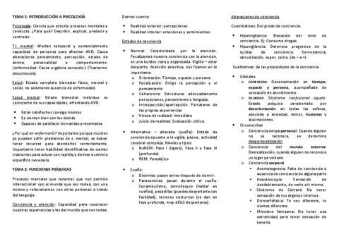 RESUMEN-PSICO.pdf