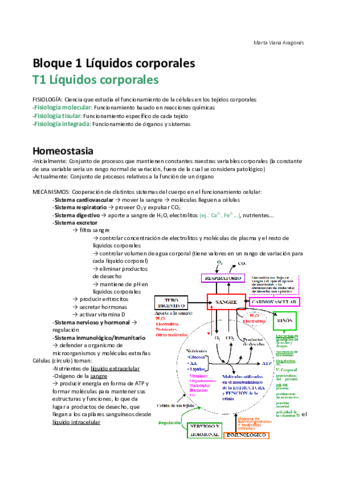 APUNTES COMPLETOS FISIO (MVA) - Fisiología Básica.pdf
