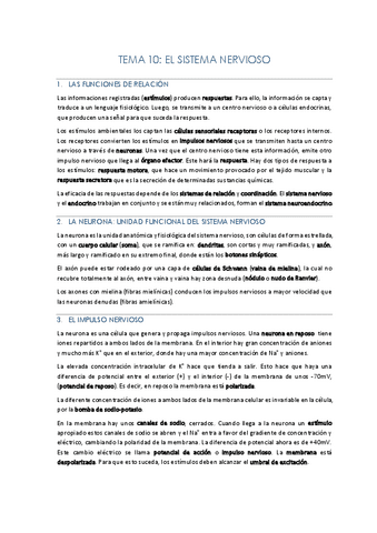 TEMA-10-EL-SISTEMA-NERVIOSO.pdf