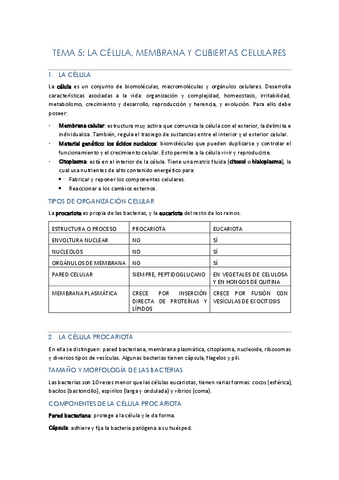 TEMA-5.pdf