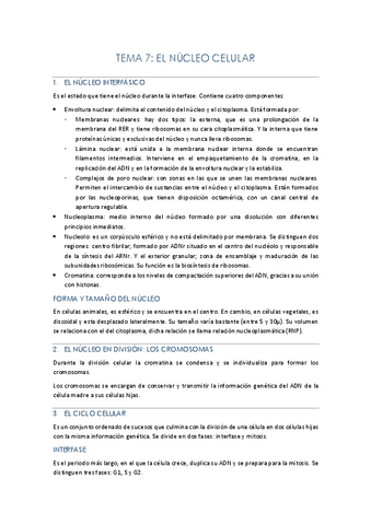 TEMA-7.pdf