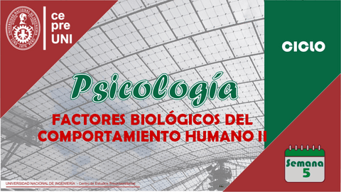 TEMA-5-FACTORES-BIOLOGICOS-DEL-COMPORTAMIENTO-HUMANO-2.pdf