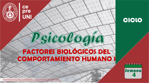 TEMA-4-FACTORES-BIOLOGICOS-DEL-COMPORTAMIENTO-HUMANO.pdf