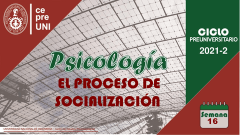 TEMA-16-PROCESO-DE-SOCIALIZACION.pdf