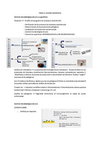 TEMA-9.pdf