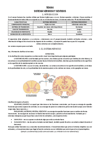 TEMA-6-FISIOPATOLOGIA.pdf