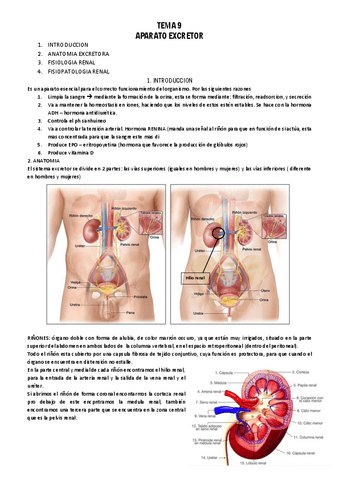 TEMA-9-FISIOPATOLOGIA.pdf