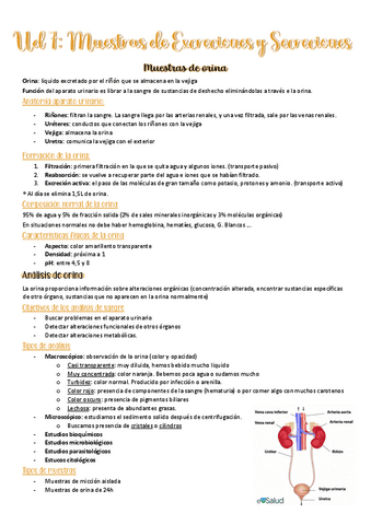 Ud-7-GMB.pdf