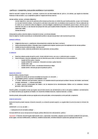 Derecho-Mercantil-apuntes-completos.pdf