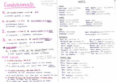 condicionales-y-vocabulario-UNIT2.pdf