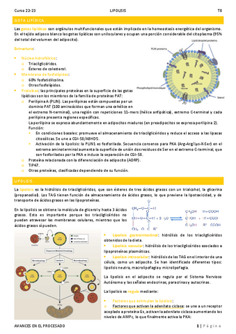 T8. Lipolisis.pdf