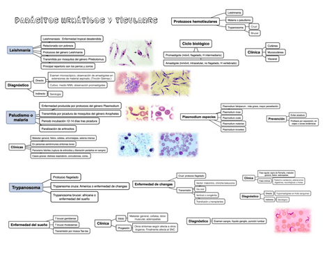 Parasitos-hematicos-y-tisulares.pdf