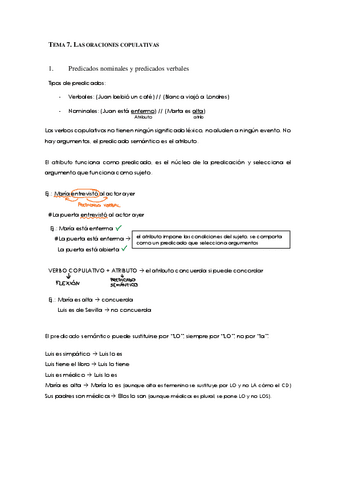 TEMA-7.pdf