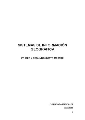 SIG. APUNTES PRIMER Y SEGUNDO CUATRI.pdf