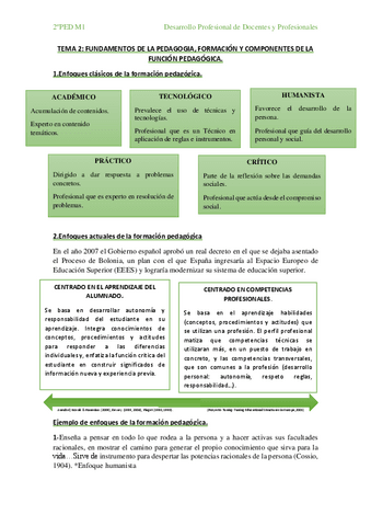 TEMA2-DESPROFESIONAL-PEDM1.pdf