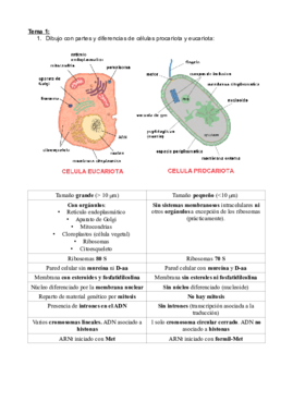 Preguntas de Micro.pdf