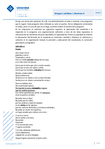 Enunciat-LLCASTELLANAII-JUNY-2018.pdf