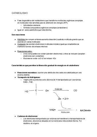 TEMA-10-EL-CATABOLISMO-BIO.pdf