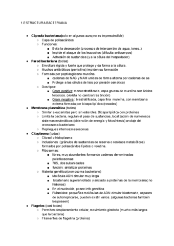 17-Bacterias-con-microorganismos.pdf