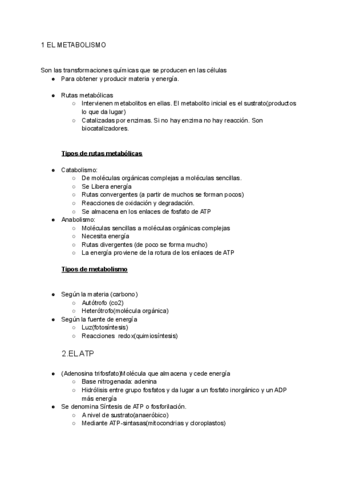 TEMA-9-BIO-el-metabolismo.pdf