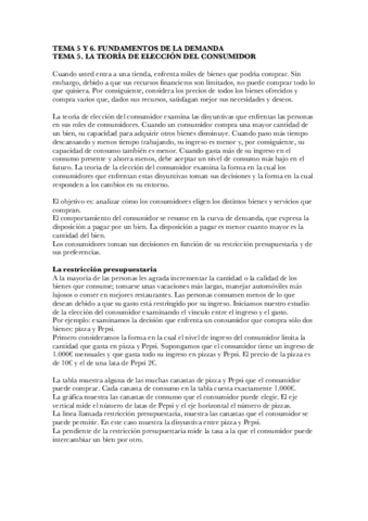 TEMA-5-Y-6.-FUNDAMENTOS-DE-LA-DEMANDA.pdf