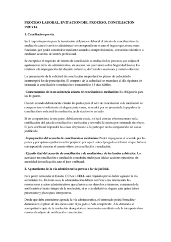 Conciliacion-previa.pdf