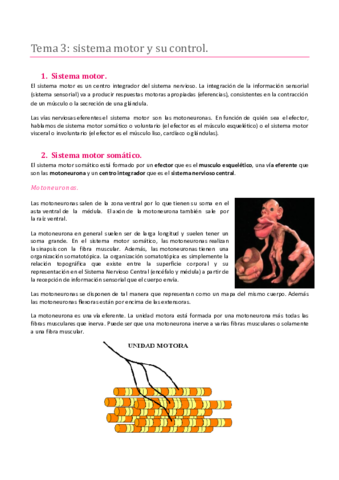 TEMA 3. SISTEMA NERVIOSO. SISTEMA MOTOR Y SU CONTROL.pdf