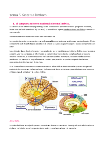 TEMA 5. SISTEMA NERVIOSO. LA CORTEZA CEREBRAL Y EL SISTEMA LÍMBICO.pdf