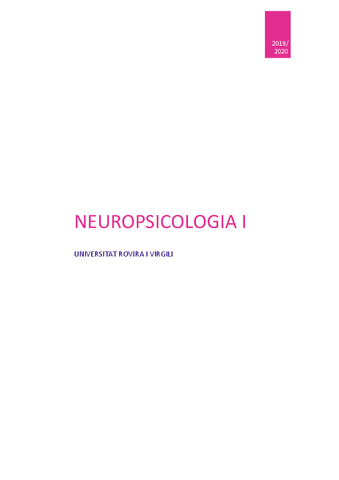 NEUROPSICOLOGIA-ITEORIA.pdf