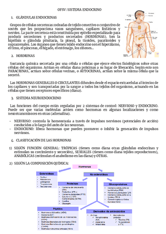 OFSV-SISTEMA-ENDOCRINO.pdf