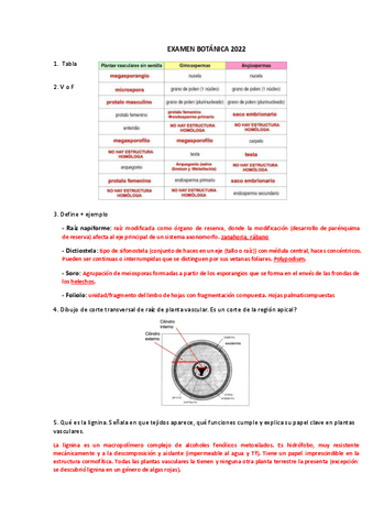 EXAMEN-BOTANICA-2022-resuelto.pdf