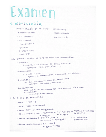 MORFOLOGIA.pdf