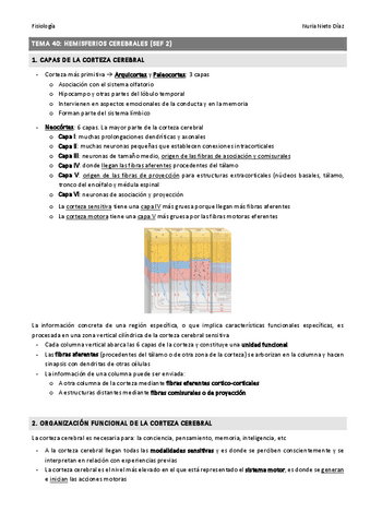 TEMA 40 - Hemisferios cerebrales (SEF 2).pdf
