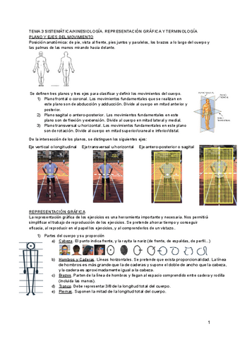 Tema-3-kinesiologia.pdf