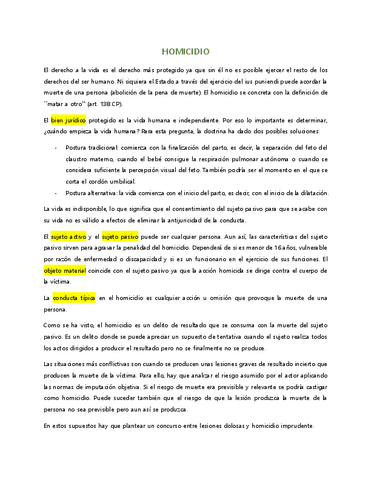Homicidio.pdf