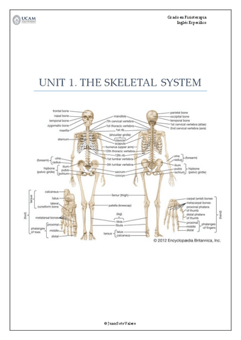 UNIT1.THESKELETALSYSTEM2022-2023-1.pdf