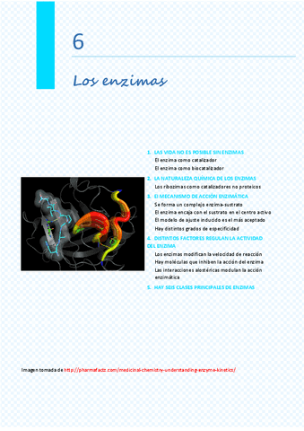 Tema-06.-Enzimasdesarrollado.pdf