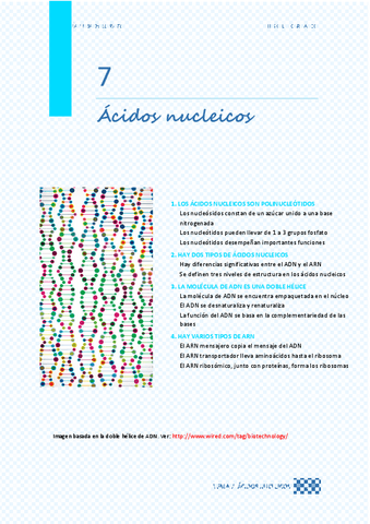 Tema-07.-Acidos-nucleicosdesarrollado.pdf