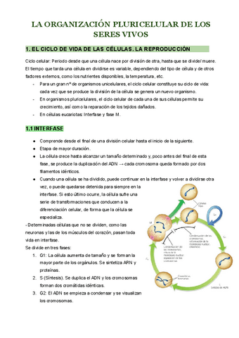 TEMA-3-LA-ORGANIZACION-PLURICELULAR-DE-LOS-SERES-VIVOS.pdf