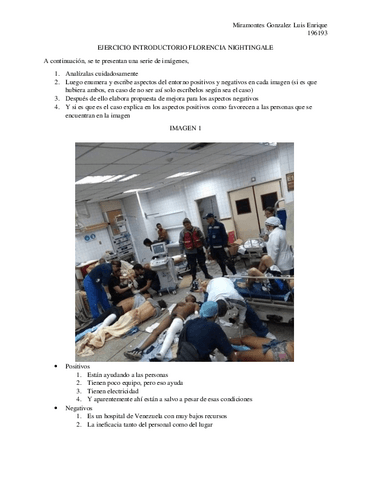 EJERCICIO-INTRODUCTORIO-FLORENCIA-NIGHTINGALE.pdf