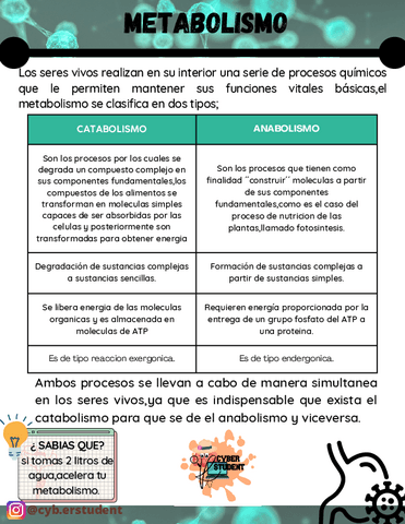 METABOLISMO.pdf