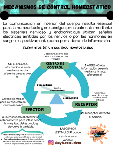 MECANISMO-DE-CONTROL-HOMEOSTATICO.pdf