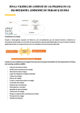 Tema-2-psicologia-del-trabajo-y-de-las-organizaciones.pdf