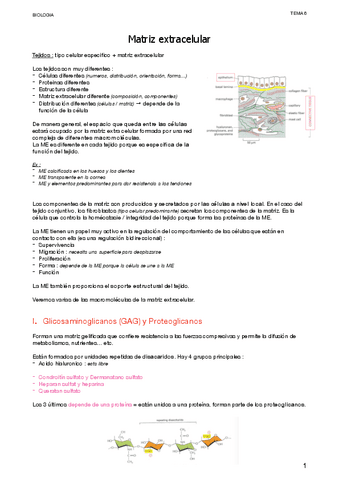 4.1-Matriz-extracelular.pdf