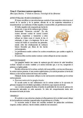 AT08-FUNCIONES-MOTORAS-SUPERIORES.pdf
