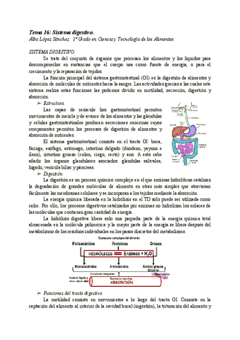 AT16-SISTEMA-DIGESTIVO.pdf