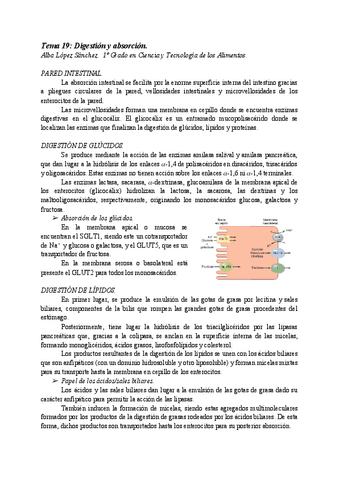 AT19-DIGESTION-Y-ABSORCION.pdf